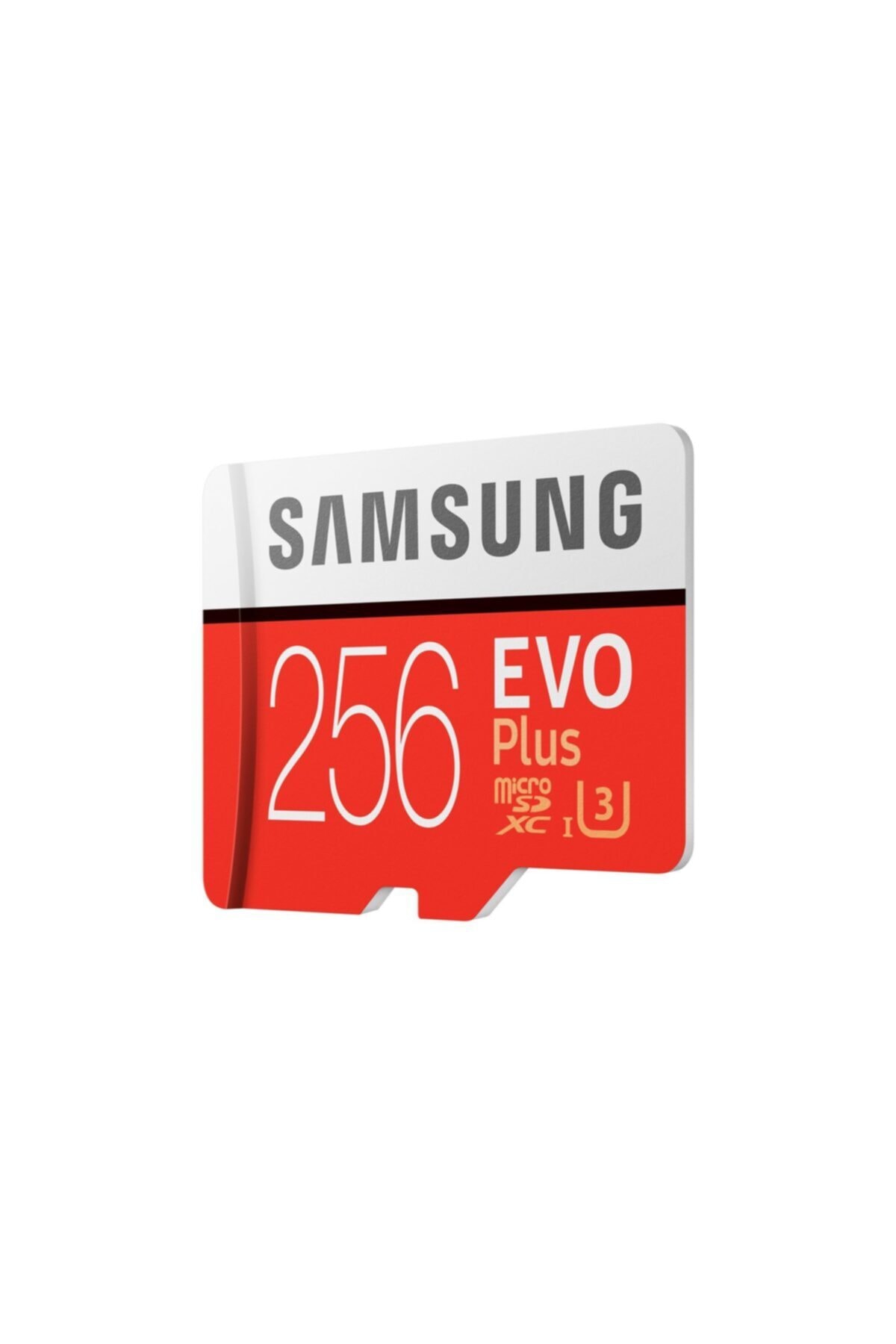 Samsung EVO Plus 256 GB